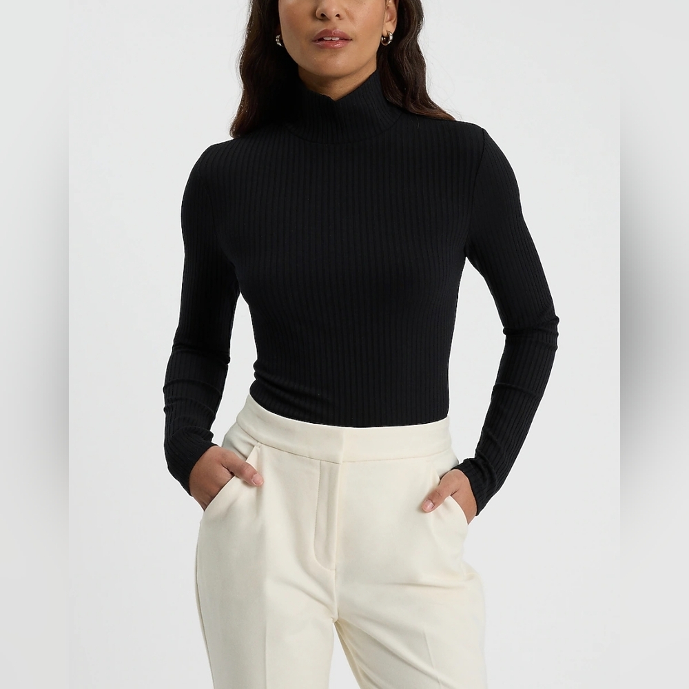 Express Ribber Turtleneck Sweater